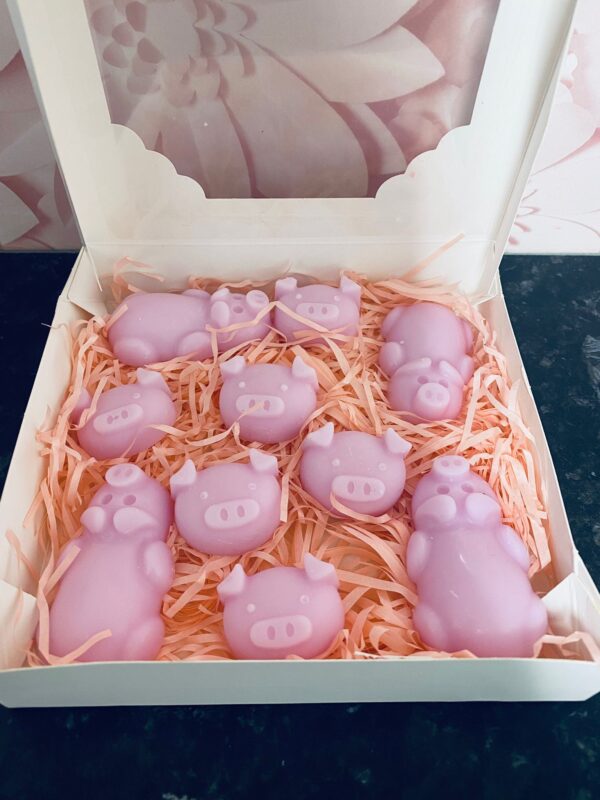 Piggy Gift Set